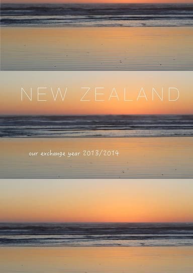 Our Exchange Year poster