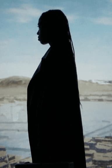 Karma & Desire poster