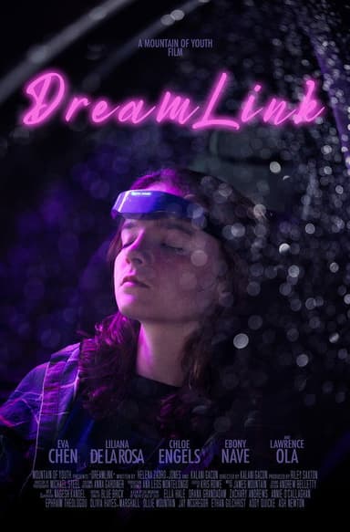 Dreamlink poster