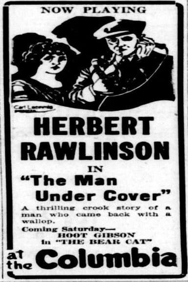 Man Under Cover poster