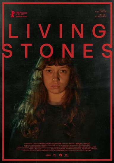Living Stones poster