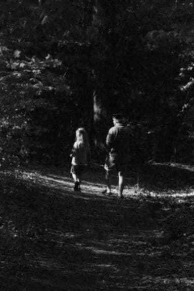 Forest Walk poster