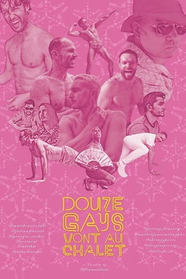 Douze gays vont au chalet poster