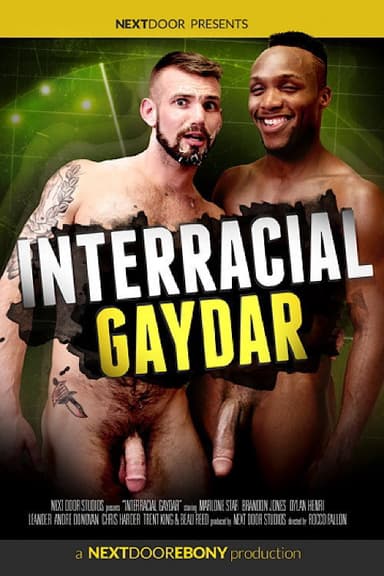 Interracial Gaydar poster