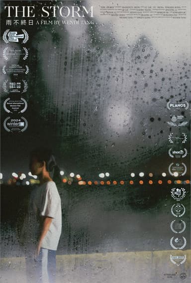 The Storm poster