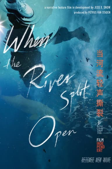 When the River Split Open poster