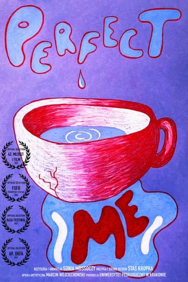 Perfect Me poster