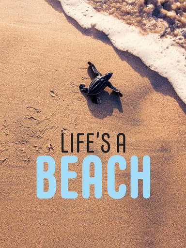 Life’s a Beach poster