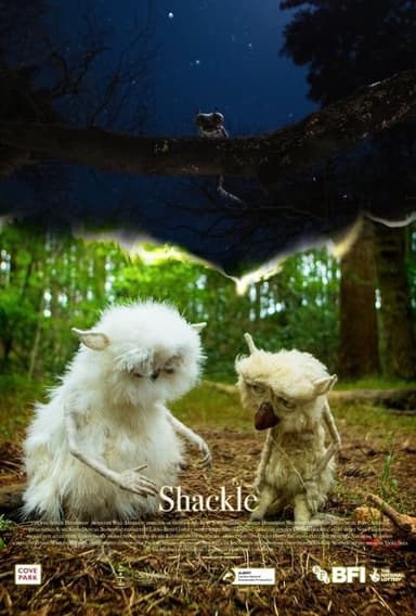 Shackle poster