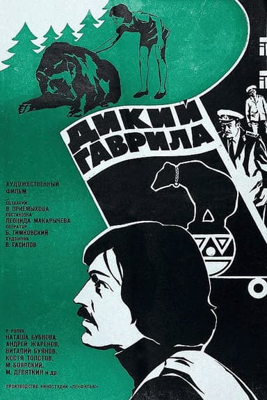 Wild Gavrila poster