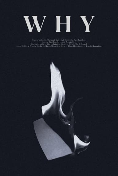 WHY poster
