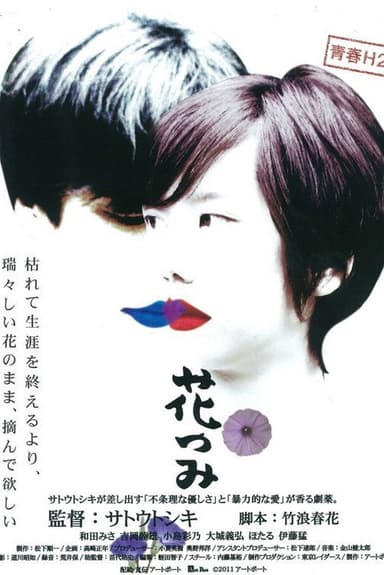 Picking Up Flowers poster