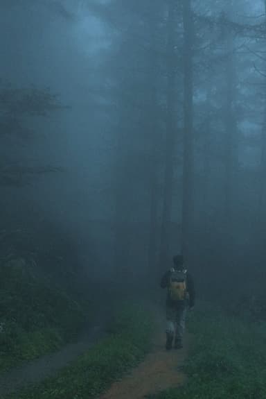 Men Wandering in the Mountain poster