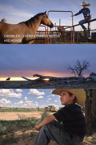 Crowley: Every Cowboy Needs His Horse poster