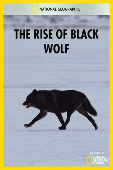 The Rise of Black Wolf poster