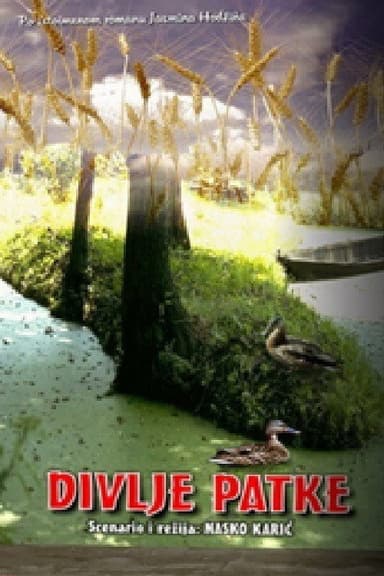 Wild Ducks poster