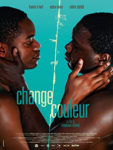 Chameleon poster