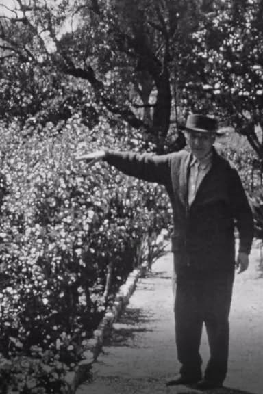 Chagall dans son jardin a Saint-Paul-de-Vence poster