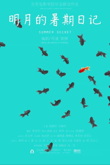 Summer Secret poster