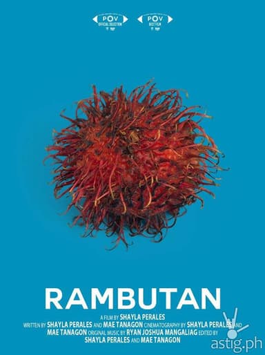 Rambutan poster