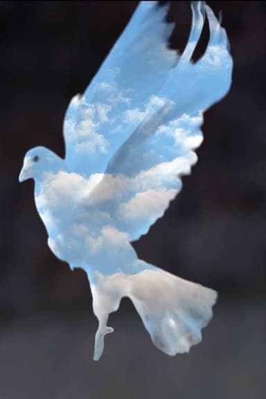 Daybreak poster