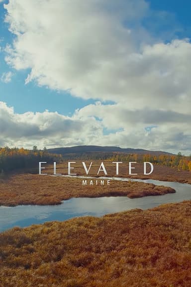 Elevated: Maine poster