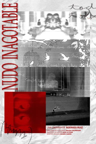 Nudo Inagotable poster
