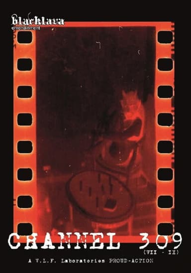 Channel 309 (7-9) poster