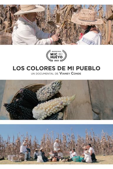 Los colores de mi pueblo poster