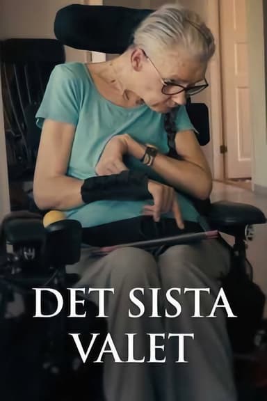 The Last Decision poster