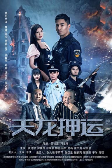 天龙押运 poster