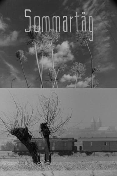 Summer Day poster