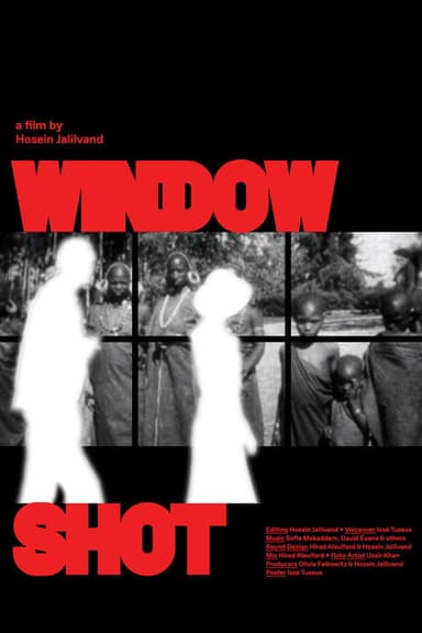 Window Shot poster