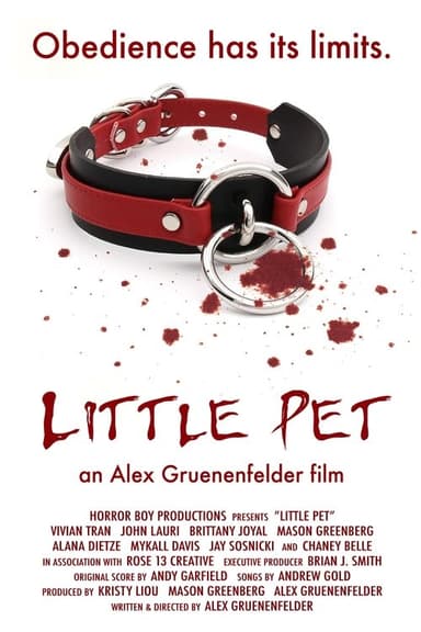 Little Pet poster